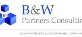Logo de B et W Partner Consultir